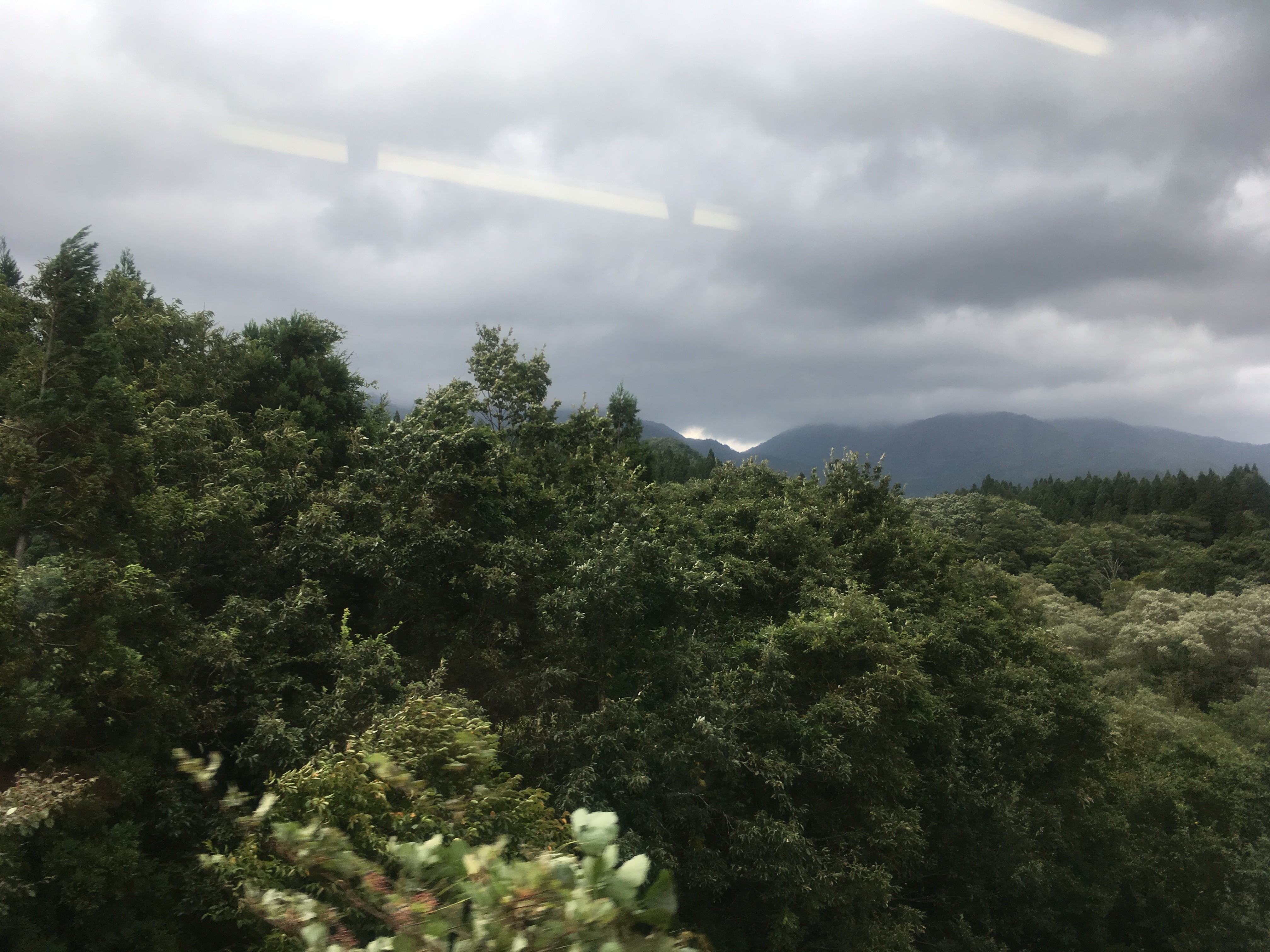 陸羽東線　普通車両からの風景